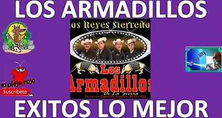 Los armadillos de la sierra seleccion de corridos sierreños minimix