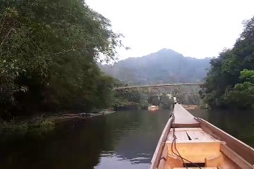 Pesona Sungai Subayang Kampar