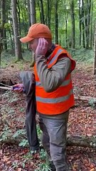 Untangling A Deer From Ropes