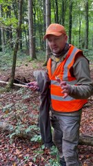 Untangling A Deer From Ropes