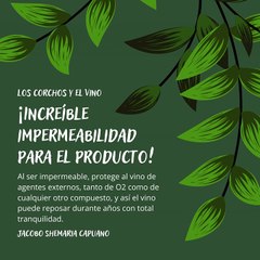 -Jacobo Shemaria Capuano- ¡Ahora que ya conoces la relevancia del corcho! (Parte 2) (Creado por @JacoboShemariaCapuano)