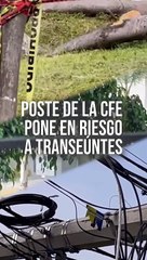 Un poste de concreto de la CFE, que fue derribado por un árbol, se ha convertido en un peligro para las personas que acuden al Parque Metropolitano  #TuNotiReel