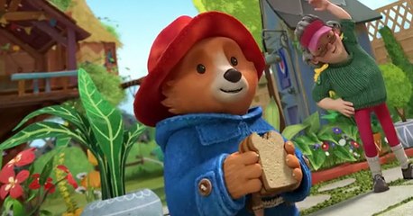 The Adventures of Paddington Bear (2019) The Adventures of Paddington Bear S02 E009 Paddington Gets Fit