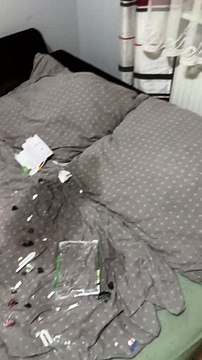 Perrita deja en shock a su dueño por destruir sus videojuegos de PlayStation 4