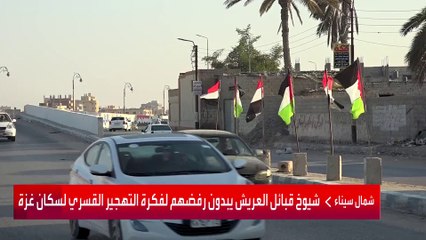 أهالي سيناء يبدون اهتماما وتعاطفا كبيرا مع المدنيين في غزة