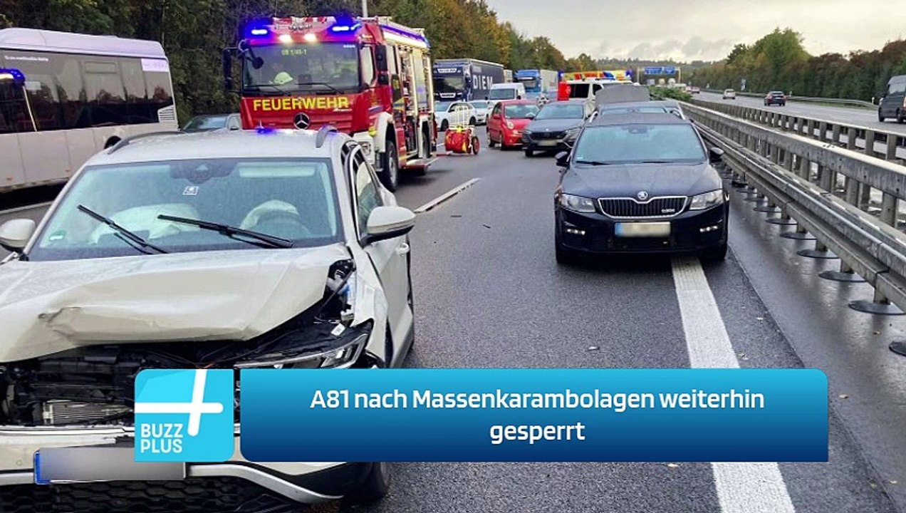 A81 nach Massenkarambolagen weiterhin gesperrt