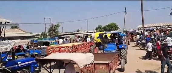 Eleven thousand quintals arrived in the market