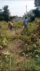 स्कूल की सफाई के लिए युवा आए आगे... देखें वीडियो