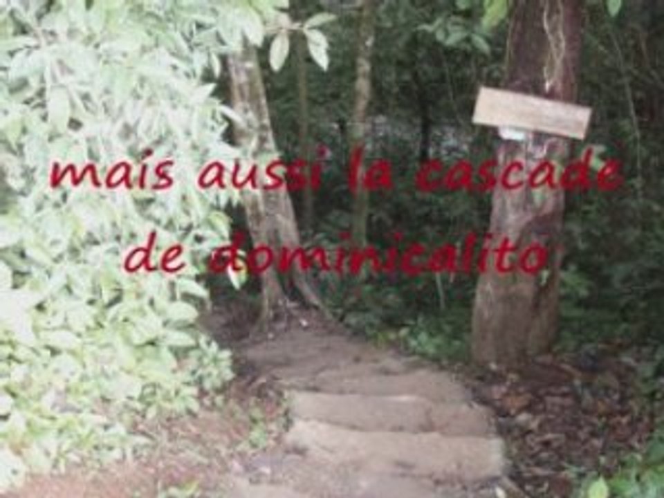27 dominicalito (1)