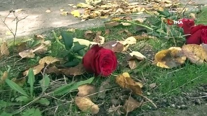 Bingöl'de Canlı Bomba Saldırısında Hayatını Kaybedenler Unutulmadı