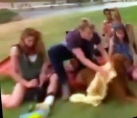 V.R. Troopers V.R. Troopers E009 – Kaitlin’s Little Helper