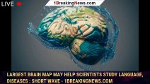 Largest brain map may help scientists study language, diseases : Short Wave - 1breakingnews.com