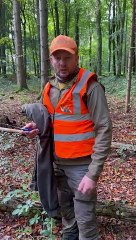 Untangling A Deer From Ropes