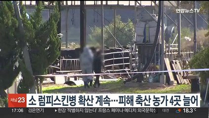 소 럼피스킨병 확산 계속…피해 축산 농가 4곳 늘어
