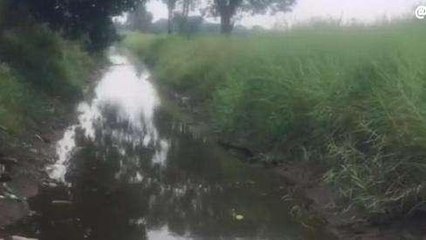 కృష్ణా జిల్లా: పొలాల్లోకి సముద్రపు నీరు