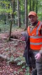 Untangling A Deer From Ropes