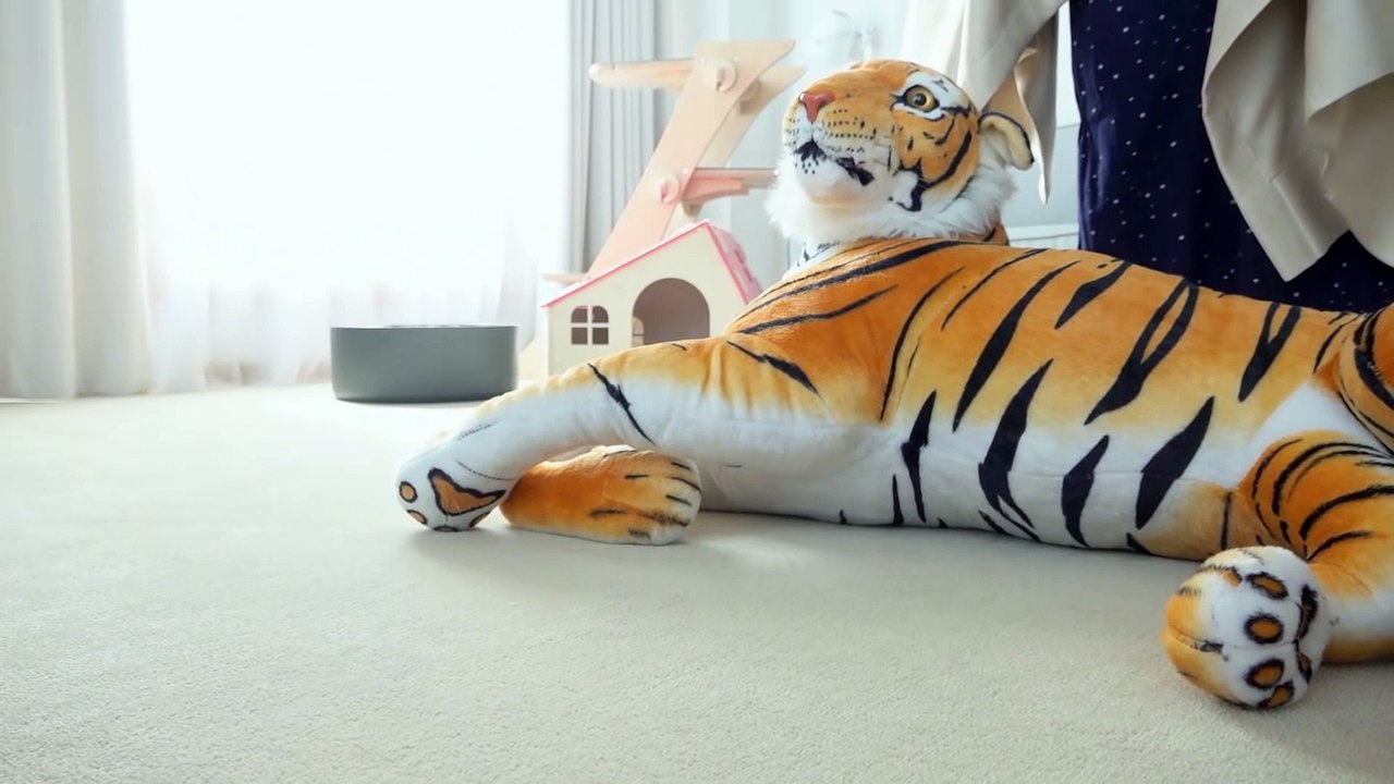 Cats vs Tiger | Kittisaurus