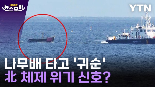 [뉴스모아] 나무배 타고 내려와 '귀순'…북한 체제 이상 신호? / YTN