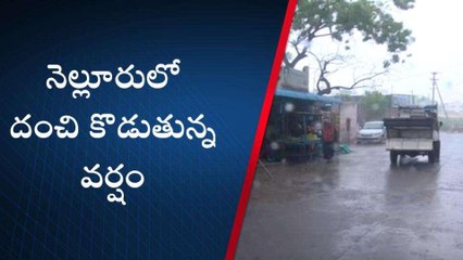 నెల్లూరు జిల్లా : భారీ వర్షం... రోడ్లన్నీ జలమయం