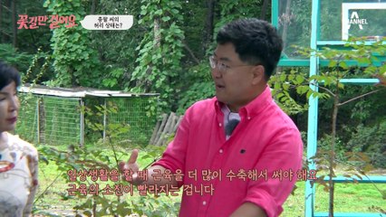 왼쪽 다리 신경이 꽉 막혀있다? 종팔 씨를 괴롭힌 허리 통증의 비밀!