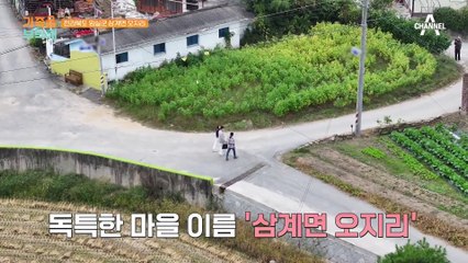 전북 임실에 가족 원정대가 떴다★ 토란밭 부부의 건강 상태는?