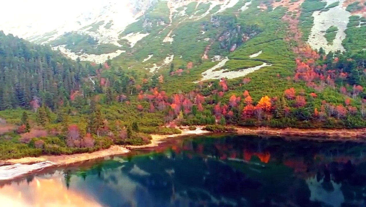 Sembrando Esperanza - La realidad de los milagros - Francisco Reyes - 28.10.2023