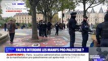 Malgré l'interdiction, la manifestation pro-Palestine à Paris pourrait quand même avoir lieu