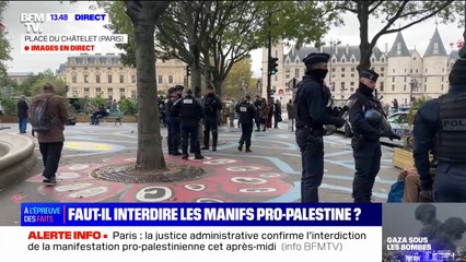 Malgré l'interdiction, la manifestation pro-Palestine à Paris pourrait quand même avoir lieu