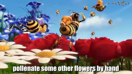 Bee Movie explained by an idiot