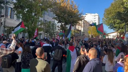 Plusieurs centaines de manifestants à Marseille en soutien à Gaza