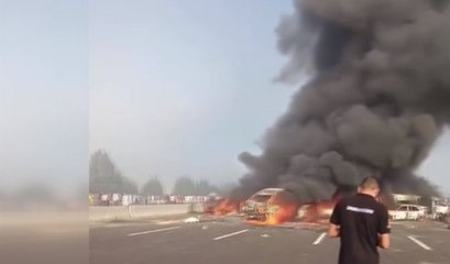 Mısır'da korkunç kaza: 32 ölü, 63 yaralı