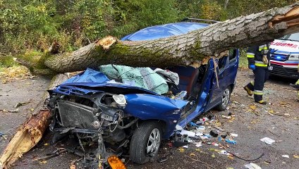 Na jadący samochód spadło drzewo. Są ranni, wezwano śmigłowiec LPR