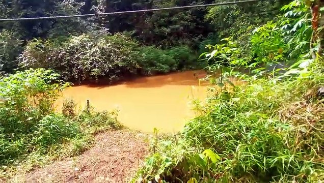 suasana pagi di pondok tengah hutan,,sungai meluap dan banjir, kita mukbang aja