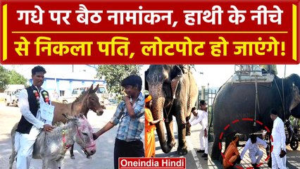 MP Election 2023 में Elephant, Donkey के किस्से देखिए | Shivraj Singh Chouhan | वनइंडिया हिंदी