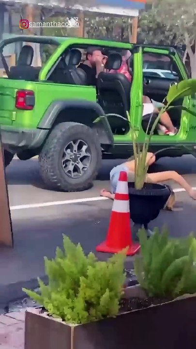 funny videos