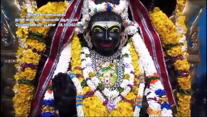 நாககன்னி பௌர்ணமி பூசை# 28.10.2023#'வாக்கு சித்தர் '' தவரஞ்சன் ஐயா
