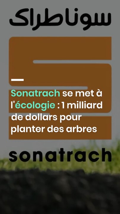 Sonatrach se met à l'écologie  1 milliard de dollars pour planter des arbres-1