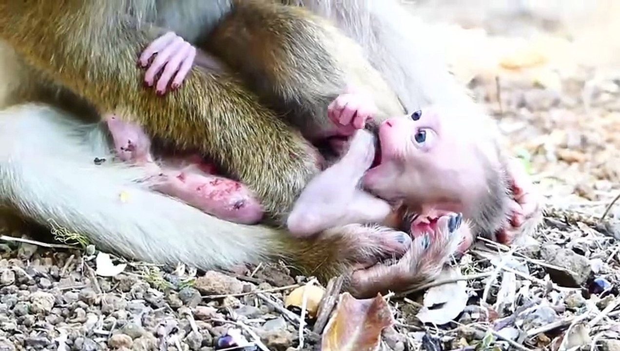 Abandoned Mother With Low Experiences With First Newborn Baby