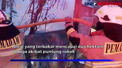 Video herunterladen: Diduga Akibat Puntung Rokok Dibuang Sembarangan, 2 Hektare Lahan Terbakar di Cipayung