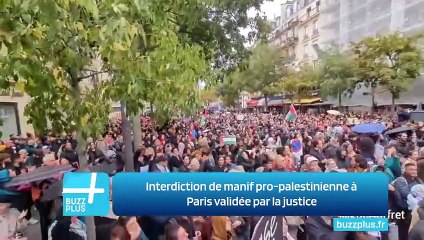 Interdiction de manif pro-palestinienne à Paris validée par la justice