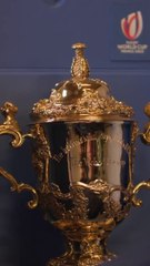 Finale de la coupe du monde de rugby 2023, Afrique du Sud - All Blacks, le trophée Web Ellis est prêt !