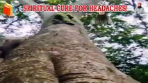 Spiritual Cure 4 Headache | Sar Dard Ka ilaj | Dabistan Al Ahqar Al Attari | Muhammad Tariq Rashid
