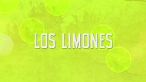 La Arrolladora Banda El Limón De René Camacho - Los Limones (LETRA)