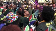 Springboks given hero's welcome on South Africa return