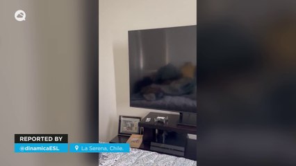 Major 6.6 Magnitude Earthquake Shakes North-Central Chile 🌎