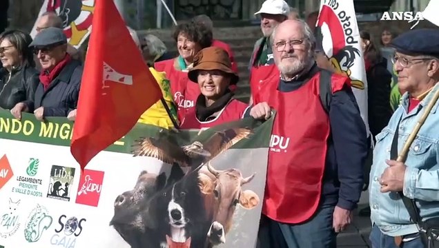 Torino in corteo per la difesa degli animali