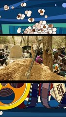 O Menino que Descobriu o Vento - Parte 1 🎬