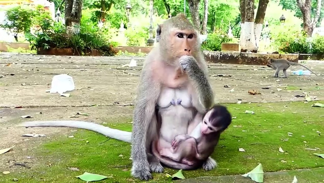 Adorable Baby Monika Looking At Mother Drinking Beverage With Pithiness