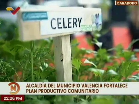 Carabobo| Alc. de Valencia entregó plántulas a integrantes de los Clap para fortalecer la producción