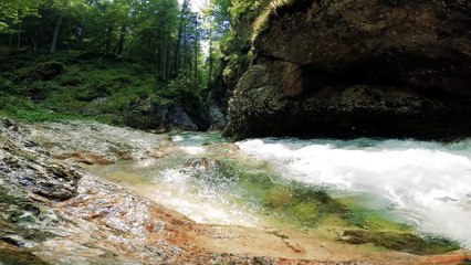 "Zen Garden Retreat: Calm Ambient Music"